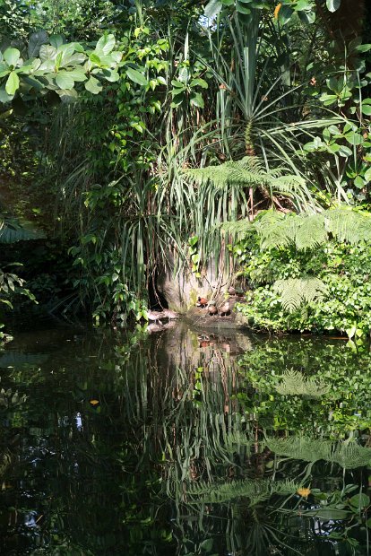 DSC03701