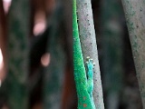 DSC03608.jpg