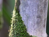 DSC03625.jpg