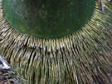 DSC03626.jpg