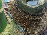 DSC03627.jpg