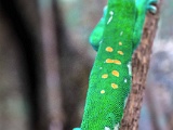 DSC03649.jpg