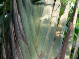 DSC03660.jpg