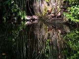DSC03701-2.jpg