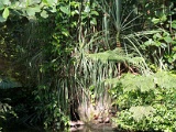 DSC03701.jpg