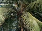 DSC03702.jpg