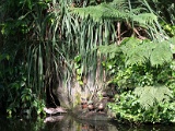 DSC03703.jpg